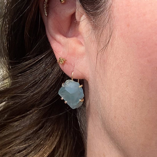 Variance Objects Large Aquamarine &14k Gold Hook Earrings