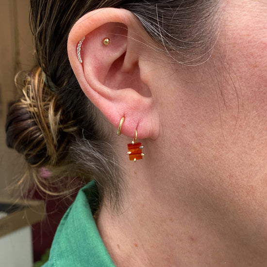 Variance Objects Carnelian & 18k Gold Hook Earrings