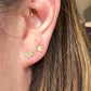 Variance Small Hand Cut  Chrysoprase & 14k Gold Stud Earrings